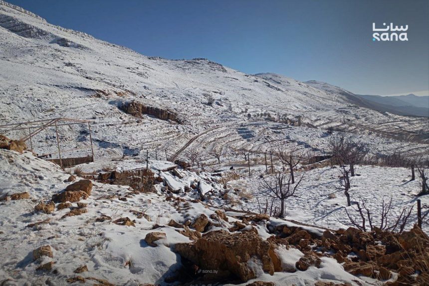 وزارة الزراعة السورية تدعو المزارعين لاتخاذ إجراءات الحماية من موجة الصقيع