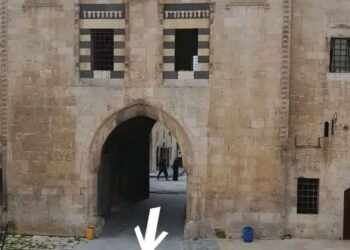 عالم آثار سوري يدق ناقوس الخطر!