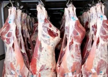 الأردن يستورد 400 طن لحوم حمراء من سوريا