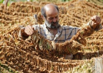 الريجي والساحل السوري.. من تآكل الوظيفة و خسارة الأمان إلى فرصه استعادة الدور التنموي وتعزيز السلم الأهلي
