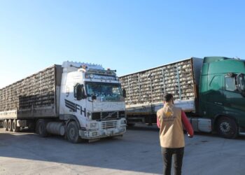 تمديد استيراد الفروج الريش وبيض الفقس وصوص التربية حتى نهاية نيسان