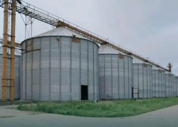 الحكومة السورية تؤكد على جاهزية صوامع الحبوب في الحسكة استعداداً لموسم القمح