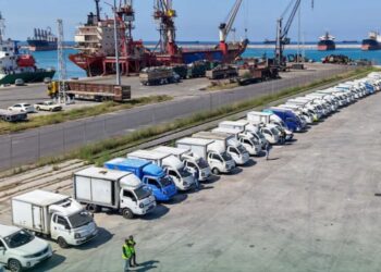 رحلة نقل ملكية السيارات.. بين “ماراثون السيستم” وسطوة السماسرة