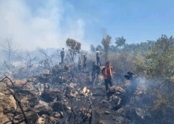 وزارة الزراعة: السيطرة على 85 حريقاً حراجياً وزراعياً خلال عشرة أيام